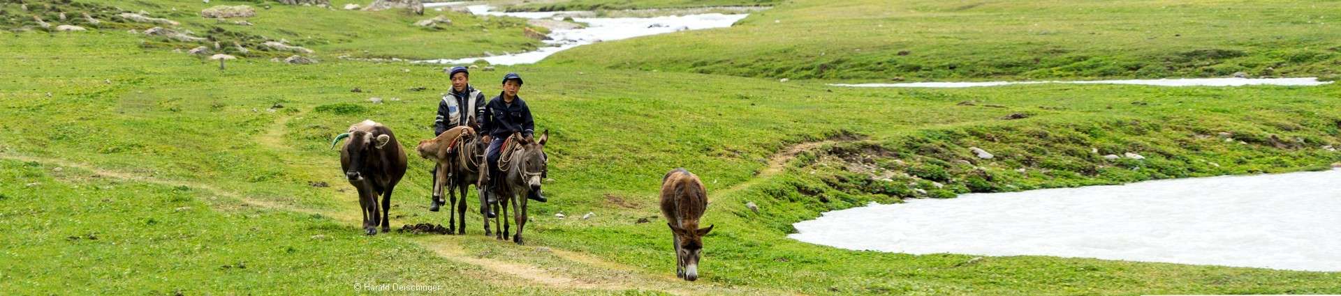 Voyages et randonnées à cheval en Kirghizie