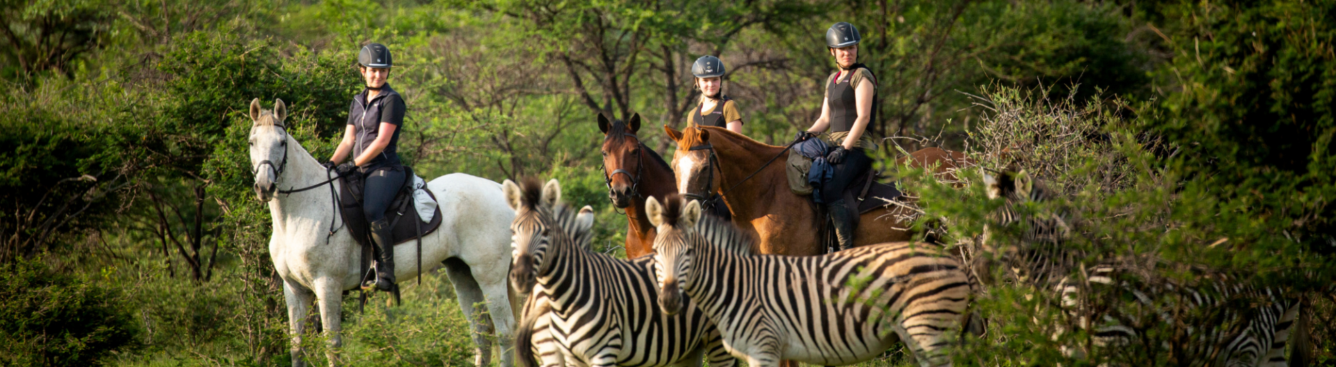 Voyage à cheval, séjour équestre