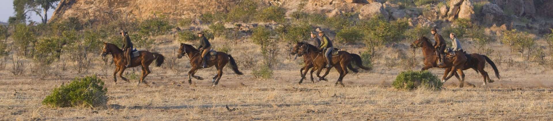 SENEGAL - Randonnée équestre, voyage à cheval dans le Delta du Saloum -  Rando Cheval