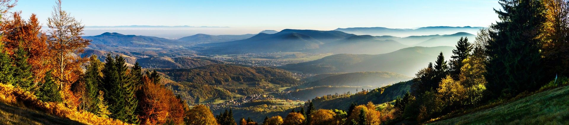 Séjours et randonnées équestres en Alsace