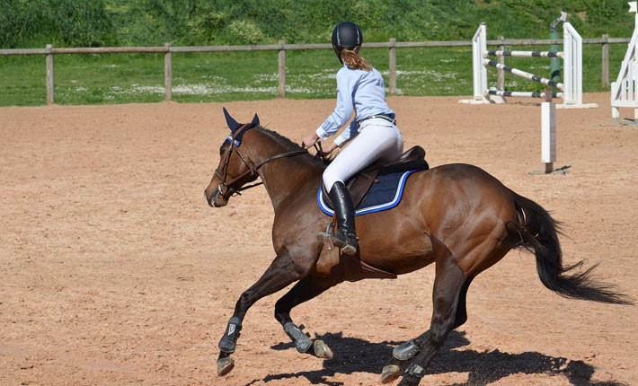 Stage d'équitation adultes et enfants, séjour disciplines équestres et dressage