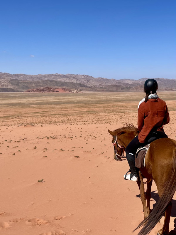 Avis de M. Lacroix - Voyage en Jordanie