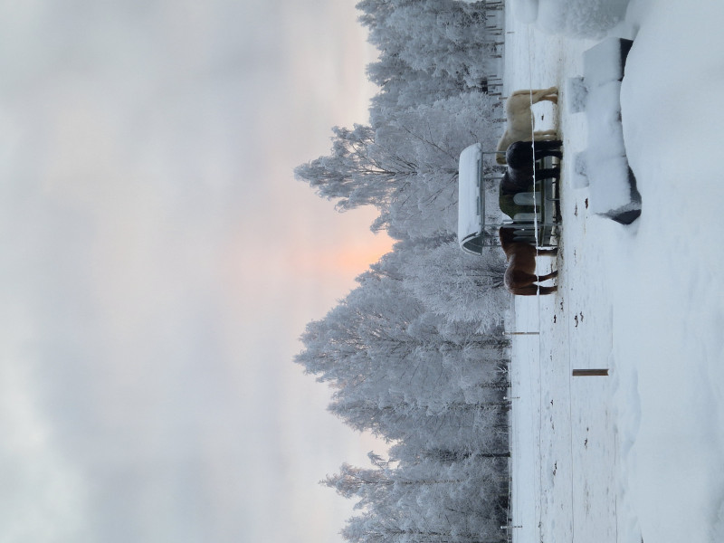 Avis de Audrey.D - Voyage en Suède