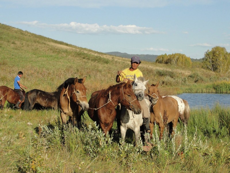 Avis de Gilles - Voyage en Mongolie