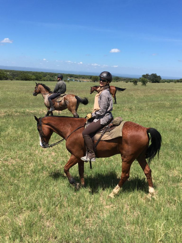 Avis de Cécile Delorge Martel 