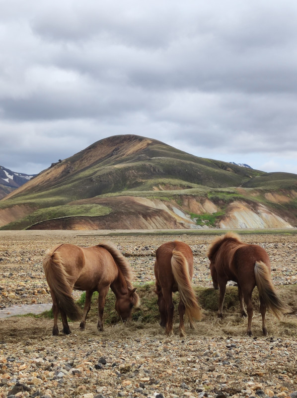 Avis de Lison - Voyage en Islande