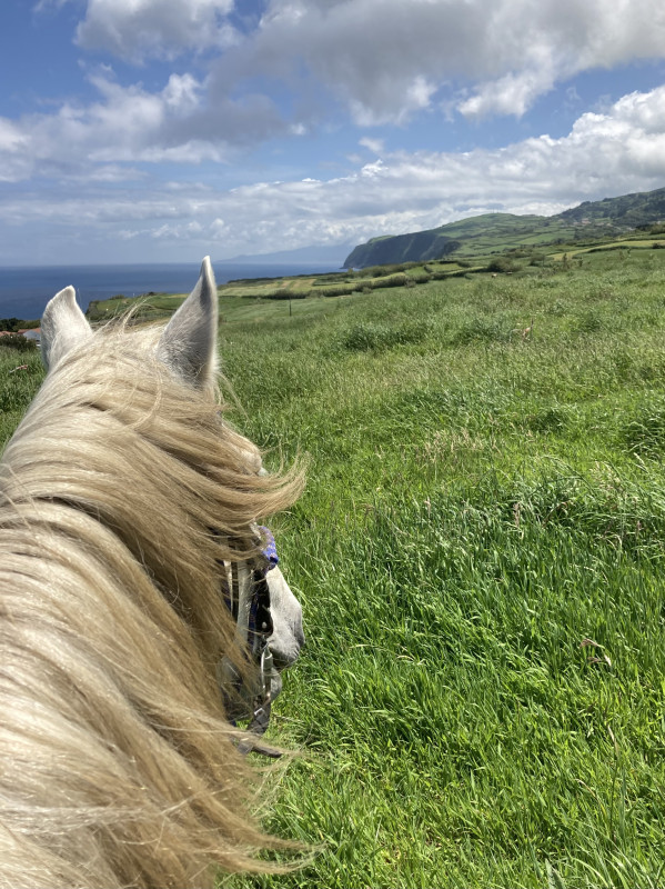 Avis de Bénédicte  - Voyage en Portugal Açores Madère