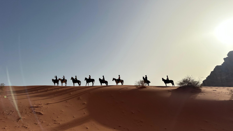 Avis de Margaux  - Voyage en Jordanie