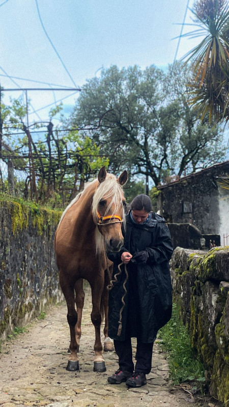 Avis de Anne - Voyage en Portugal Açores Madère