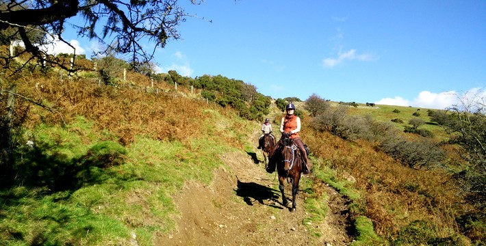 Dans la peau d'un cowboy en Angleterre