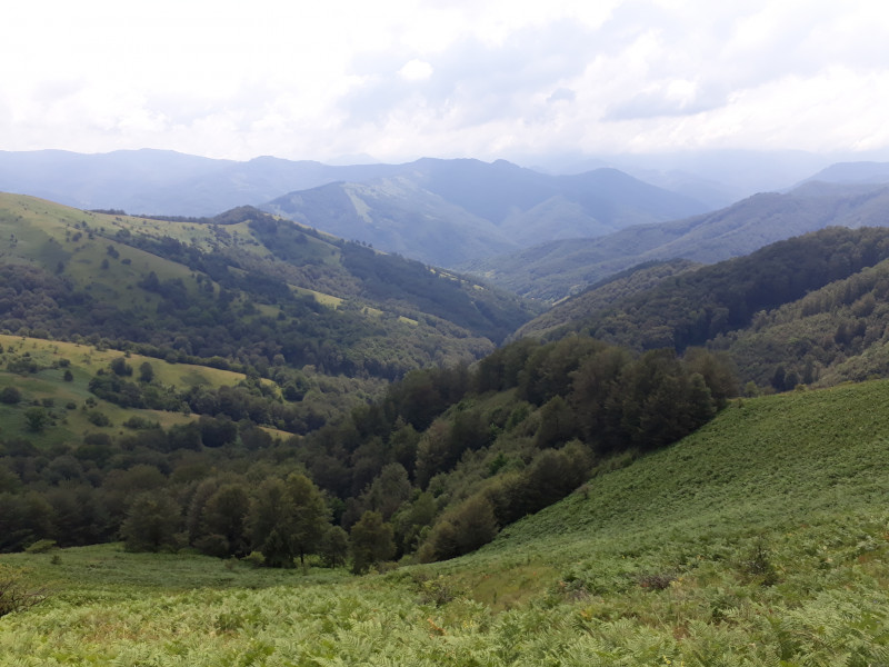 Avis de Claude NORMAND