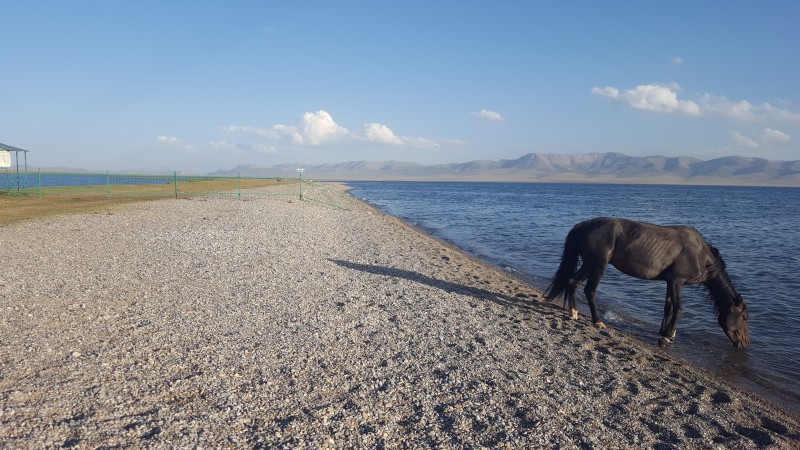 Avis de Carine  - Voyage en Kirghizie