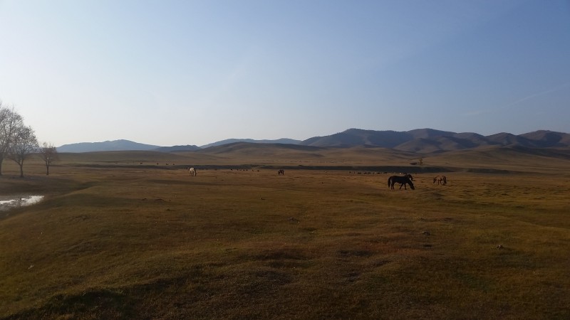 Avis de Stéphanie - Voyage en Mongolie