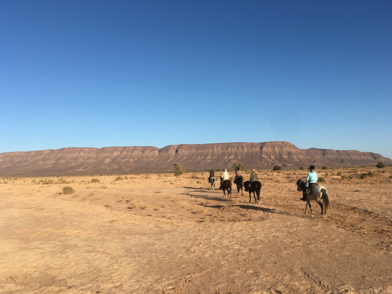 Avis de Sam  - Voyage en Maroc