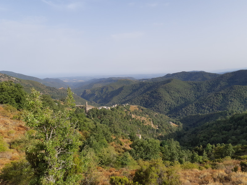 Avis de Clairane - Voyage en Corse