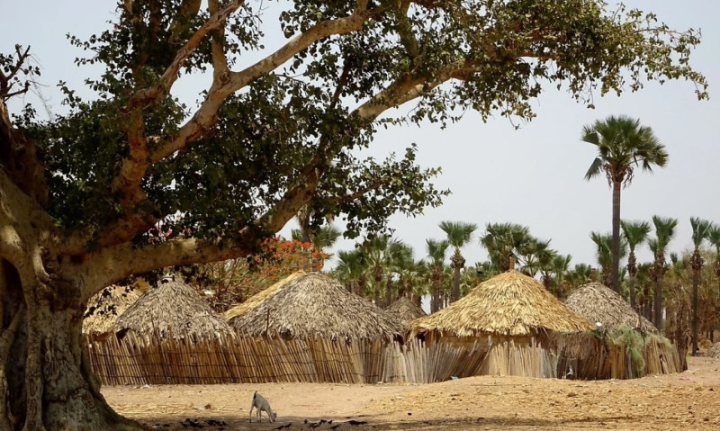 Avis de Mme F. Peysson - Voyage en Sénégal