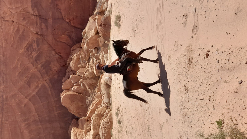 Avis de morgane et stéphane - Voyage en Jordanie
