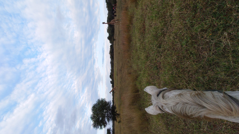 Avis de Audrey et Guillaume 