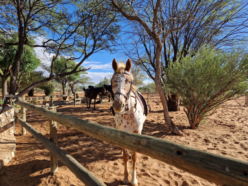 Avis de Audrey - Voyage en Namibie