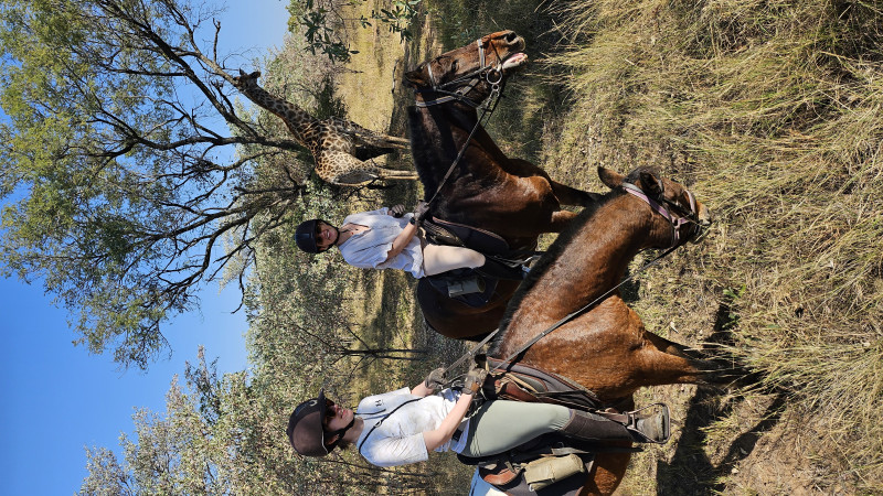 Avis de Anne Virginie