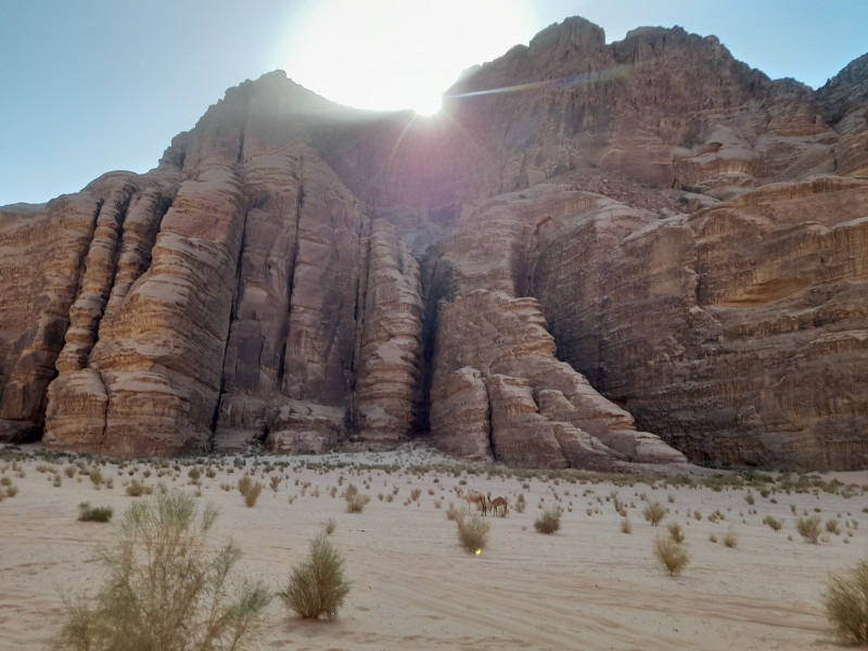 Avis de Cécile - Voyage en Jordanie