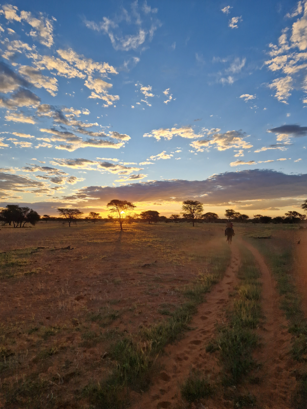 Avis de Candori - Voyage en Namibie