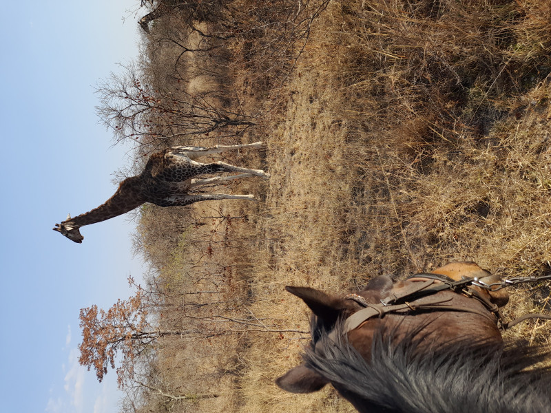 Avis de Cécile - Voyage en Zimbabwe