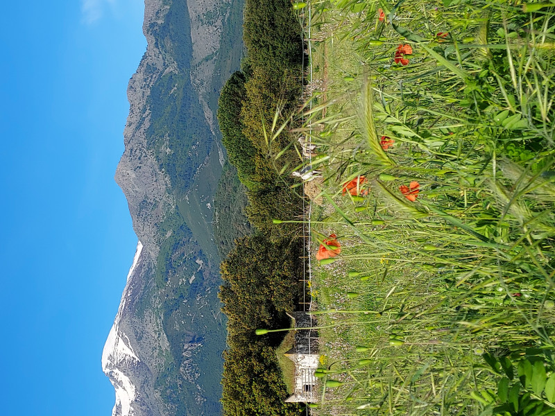 Avis de Florence Roux