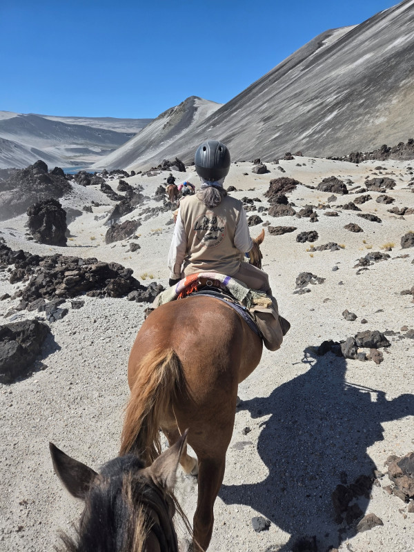 Avis de Elisabeth S - Voyage en Chili