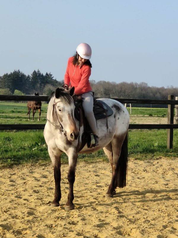 Avis de Isabelle Daguinot