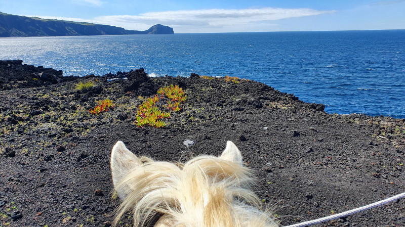 Avis de Catherine et Marine ARMAND