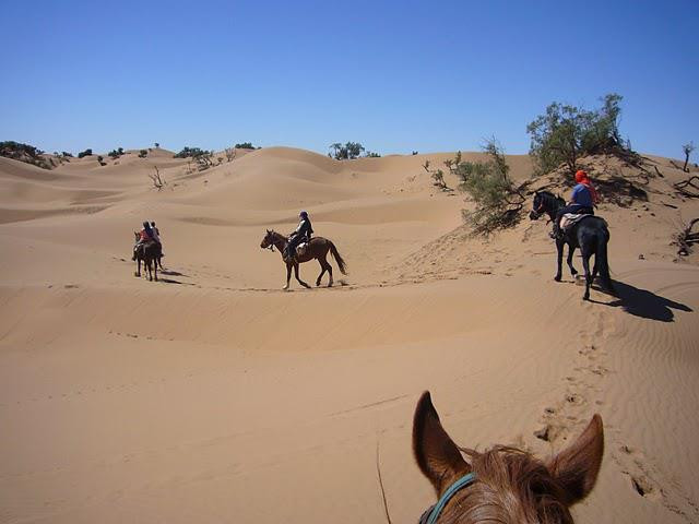 Avis de Alice - Voyage en Maroc