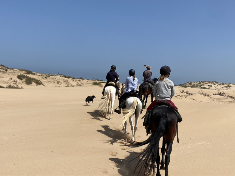 Avis de Carpentier Elise - Voyage en Maroc