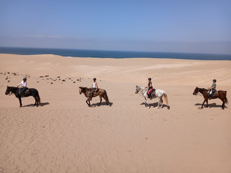 Avis de Jade - Voyage en Maroc