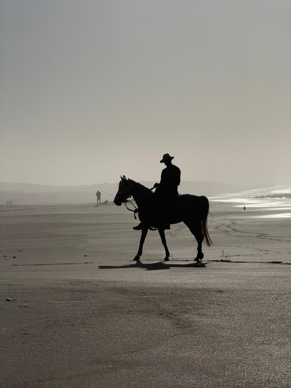 Avis de Kelly - Voyage en Maroc