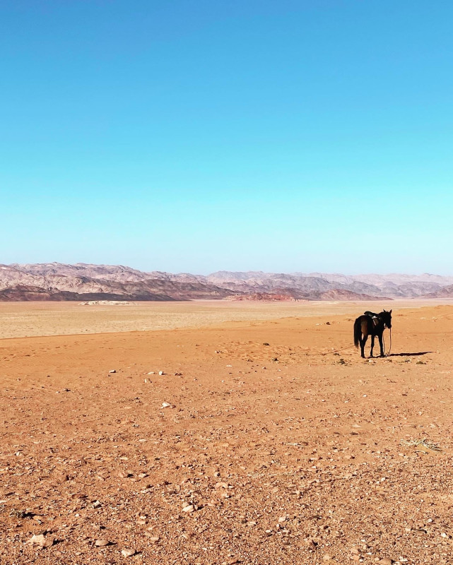 Avis de Myriam - Voyage en Jordanie