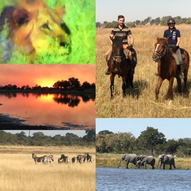 Avis de Alexandra et Frédéric - Voyage en Botswana