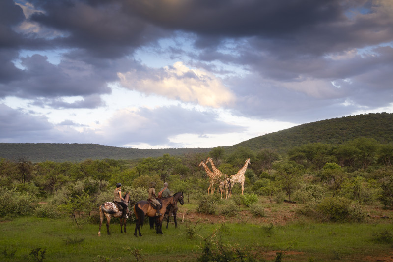 Avis de Julie - Voyage en Afrique du Sud