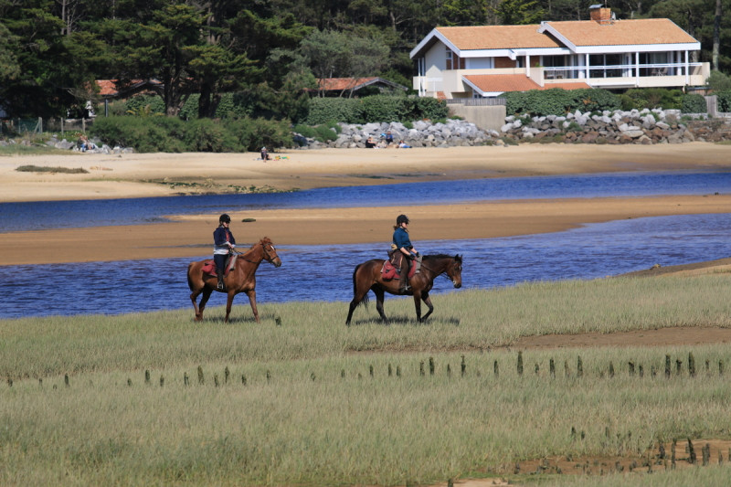 Avis de Batiot - Voyage en Aquitaine-Bord de mer