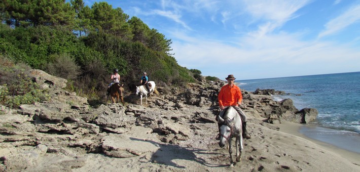 Avis de Morgane - Voyage en Corse