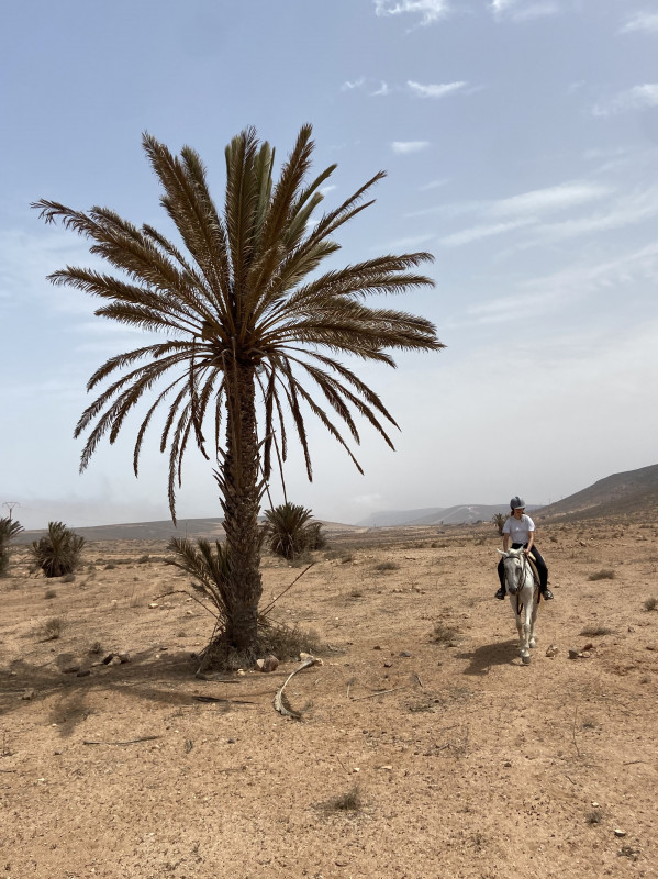 Avis de Laurianne - Voyage en Maroc