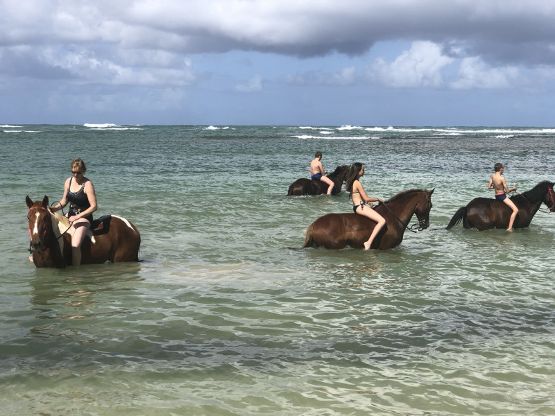 Avis de Fam Biselx - Voyage en Rép. Dominicaine