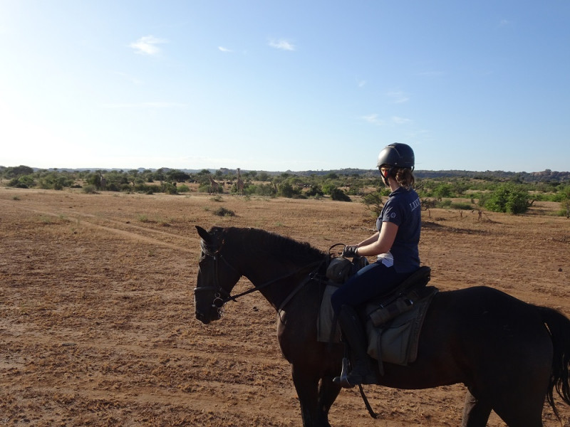 Avis de Morgane - Voyage en Botswana