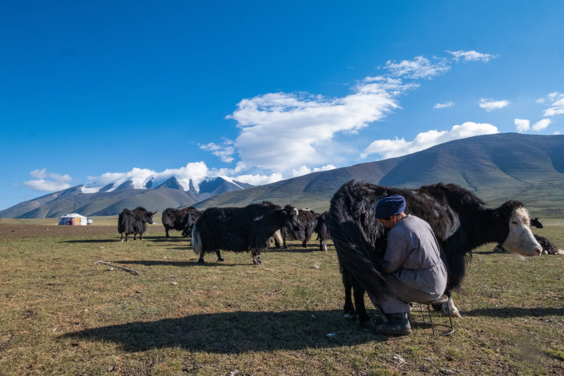Avis de Alexa - Voyage en Mongolie