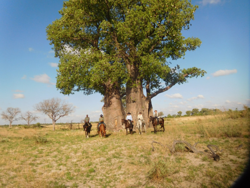 Avis de Gérard - Voyage en Botswana