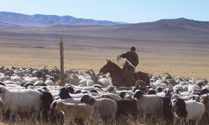 Avis de Chrystelle  - Voyage en Mongolie