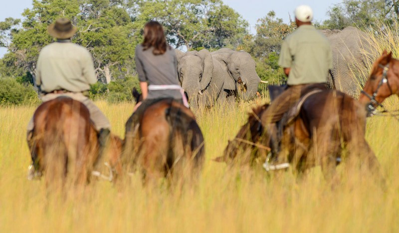 Avis de Juliana - Voyage en Botswana