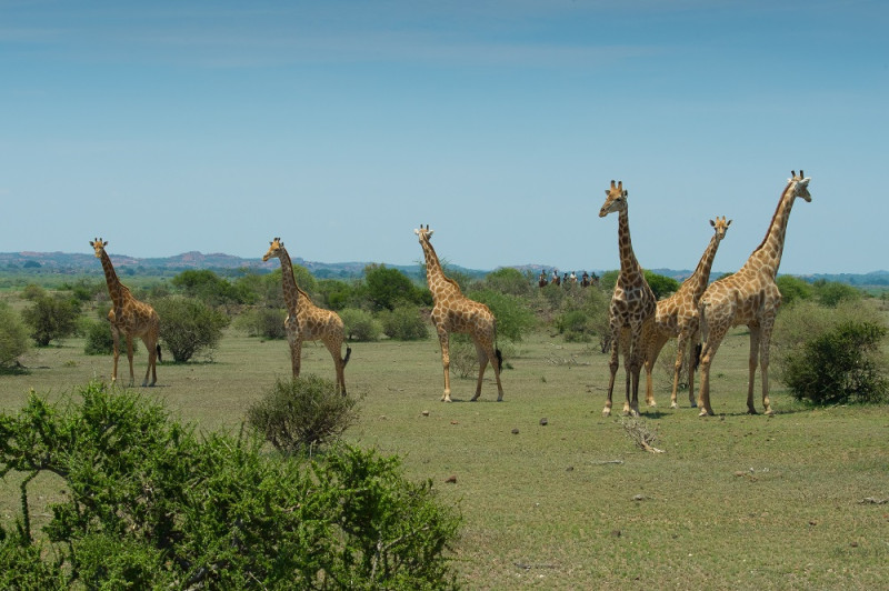 Avis de BELGUERMI  - Voyage en Afrique du Sud