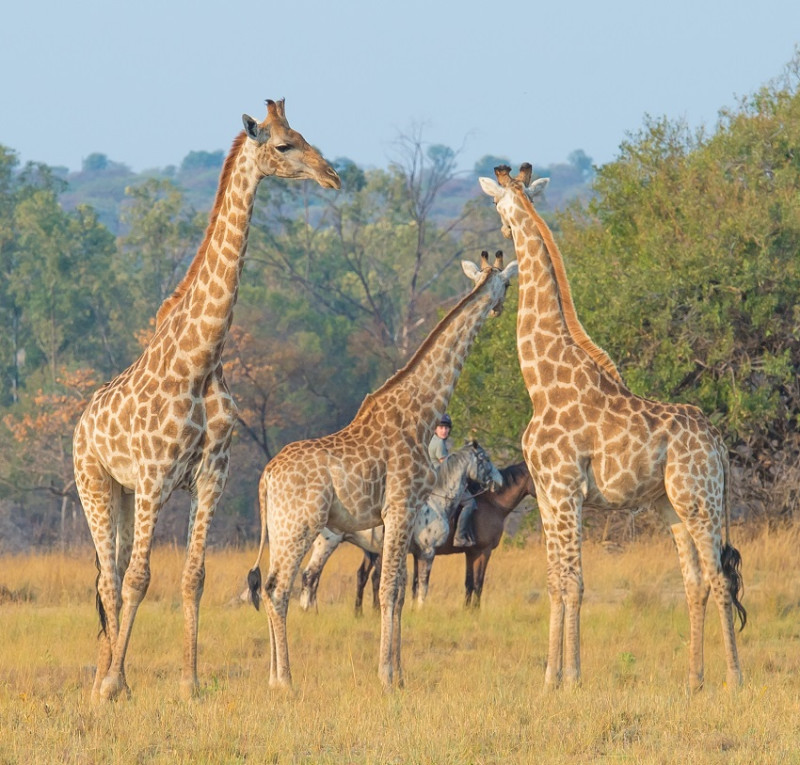 Avis de Uwe - Voyage en Afrique du Sud