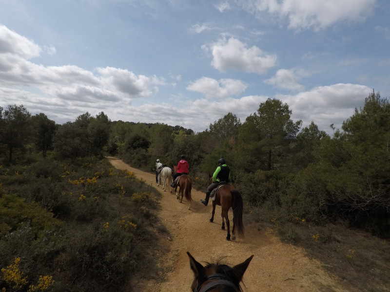 Avis de Fam Biselx - Voyage en Espagne-Minorque-ibiza